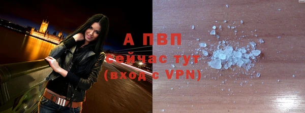 крисы Осташков