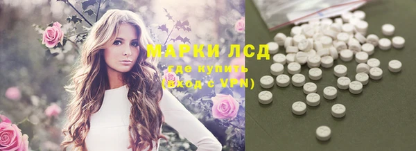 PSILOCYBIN Армянск