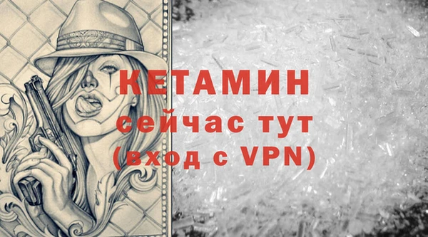 индика Бикин