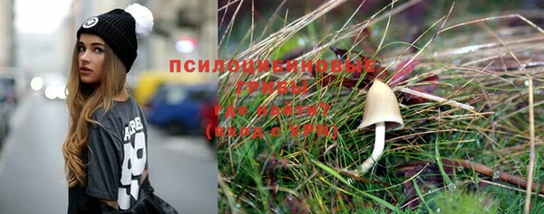 кокс Баксан