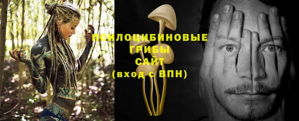 кокс Баксан