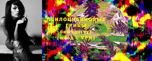 дмт Балахна