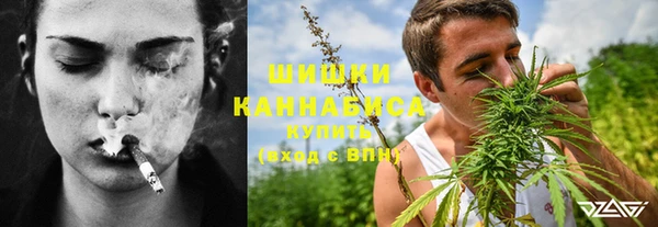 первитин Осинники