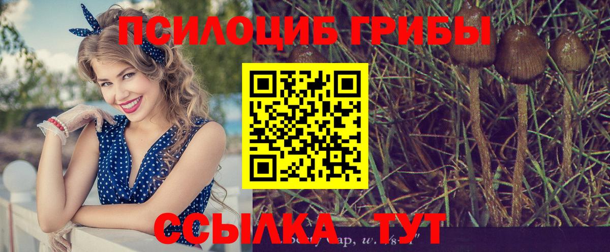 купить наркотики сайты  Псилоцибиновые грибы прущие грибы  Вход с VPN  Калуга 