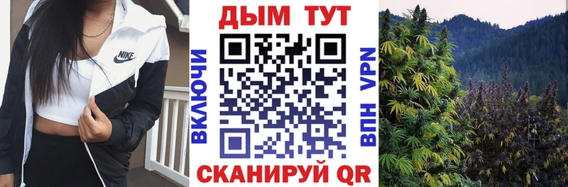как найти   Калуга  Бошки Шишки индика 